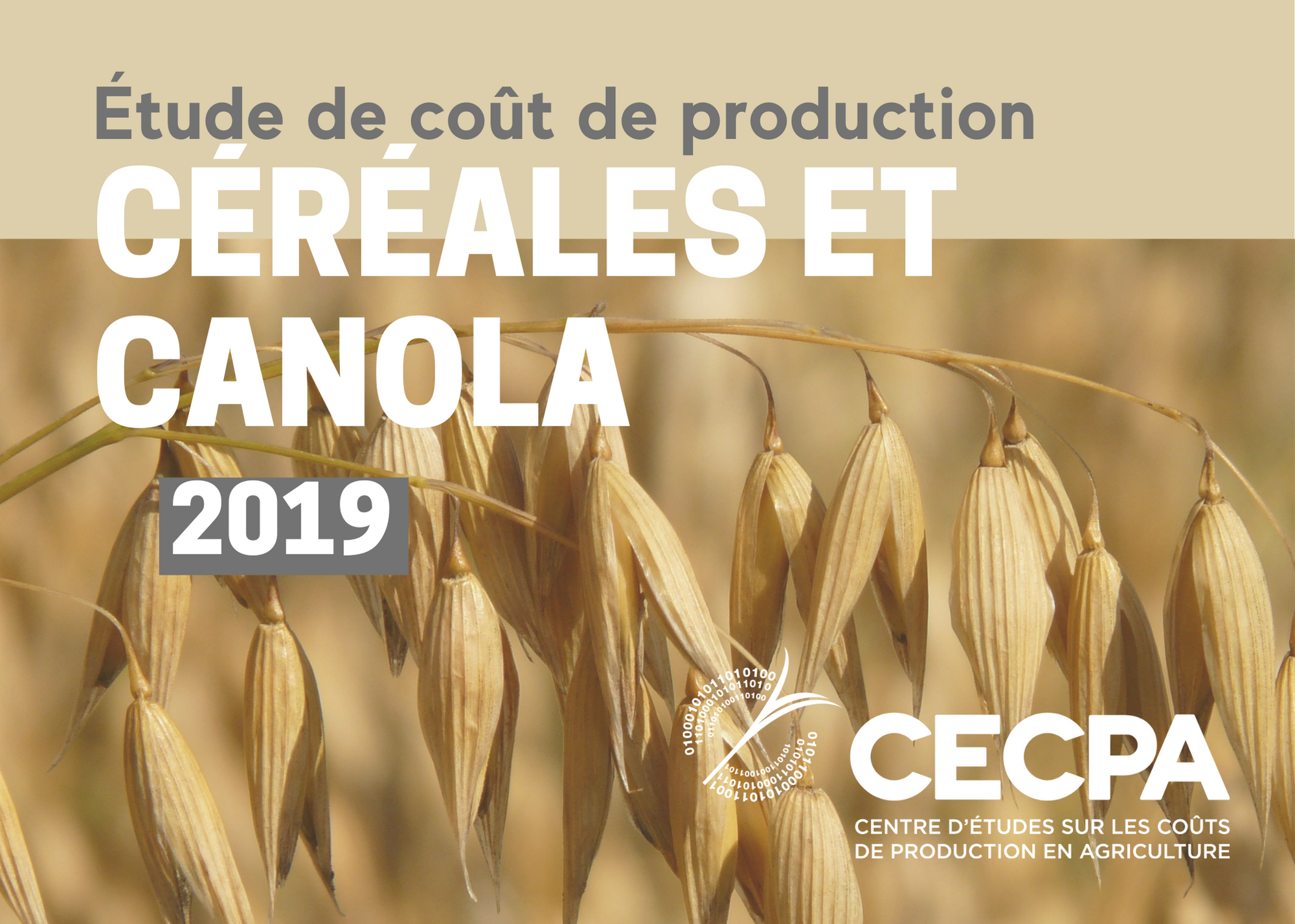 Études de coûts de production : Étude de coût de production - Céréales et canola 2019